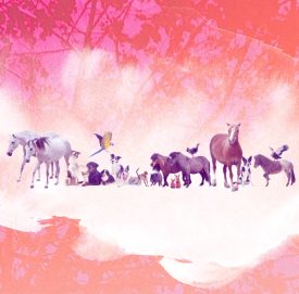 communication animale